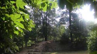 Parco di Monza in Estate