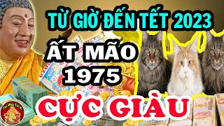 7 Bí Mật Giúp Ất Mão 1975 Đổi Vận Phát Tài Giàu Hơn Trúng Số Từ Nay Đến Tết 2023 Âm
