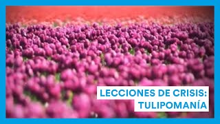 Lecciones de crisis. Tulipomanía.