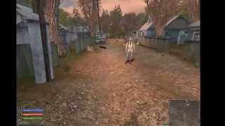 Прохождение STALKER-Simbion Mod (Возврашение Меченого) Часть 1 Кордон