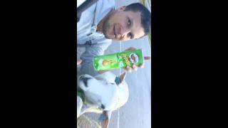 Чипсы Pringles Антиреклама