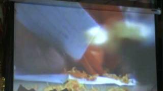 Sri Ajnish Rai sings Sai Baba ki jai jai kar at Mahabalsingh Sai Center