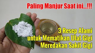 TAK USAH BURU-BURU CABUT GIGI... 3 RESEP INI SANGAT AMPUH UNTUK MEREDAKAN SAKIT GIGI