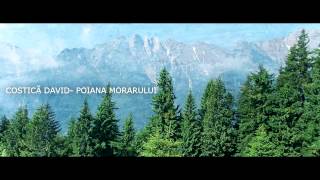 Costica David - Poiana Morarului