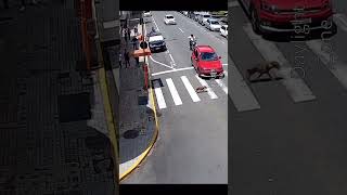 Fail compilation #fail #fails #funny #comedy #laugh #viral #shorts