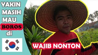 MASIH BOROS DI KOREA? | WAJIB TONTON INI |  MENANAM BIBIT KELAPA part 1