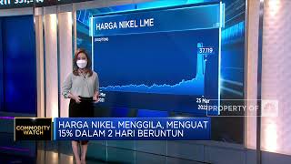 Harga Komoditas Menggila Sepekan