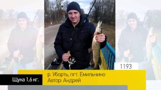 Фотоальбом - Рыбалка №238