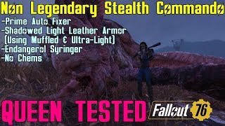 Fallout 76: Queen Tested: Non-Legendary Stealth Commando Setup