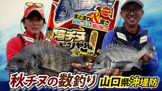 湾チヌスペシャルⅡ（ツー）登場！港湾エリアの宙層を攻めて釣る～山口県下松