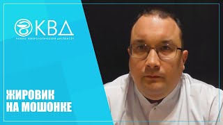 1195  Жировик на мошонке