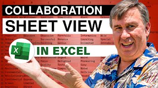 How To Effectively Use Sheet View While Collaborating In Excel 2461