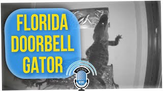 Ring Cam Captures Gator Visitor (ft. Tim Chantarangsu)