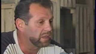 Интервью - николаевские Голуби высоколётные