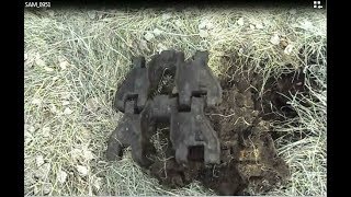 Хорошая находка  в поле край лесополосы