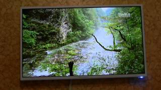 TV SHIVAKI  STV-32LED13W