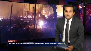 Rohingya Daily News 31 January 2018