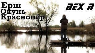 Нано джиг по Черному (Ерш,Краснопёр,Окунь) (Nano jig on Black (Ruff, Krasnopyorov, Okun)