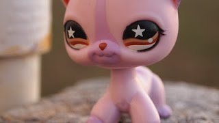 Lps-For Marshmallow Cat Studio