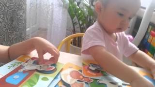 Узнаем названия и повадки домашних животных /  Веселая ферма