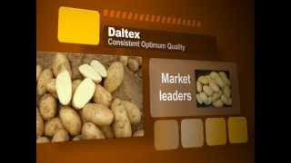 Daltex - Potatoes