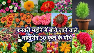 फरवरी महीने में बोये जाने वाले बहेतरीन 30 फूल के पौधे || List of Super 30 Flower Plants for Summers