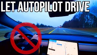 Let Autopilot Drive! How to Stop Autopilot Nag | Tesla | How to Hold Your Steering Wheel |