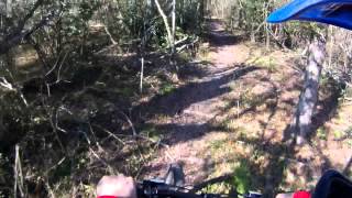 Torque Raptor E-bike