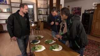 Ticket nach Berlin: Folge 7 - Bechtheim