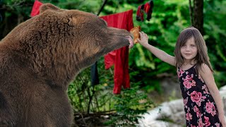 УМНЫЕ ЖИВОТНЫЕ НЕ просят помощи у человека. Люди накормили медведя, но он не беспомощное животное !