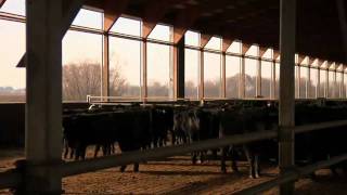 Schiefelbein Farms