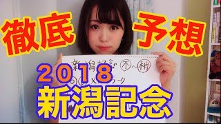 【新潟記念２０１８】良馬場の重馬場の場合両方載せました。【高配当狙】