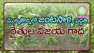 Paired row system of maize cultivation,Farmers Success Story
