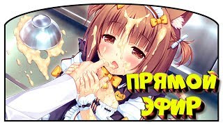 Похотливые тестомесы в Nekopara Vol.2