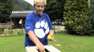 Hundetrick Überflieger - Frolic Ringosuperstar 2011 [ANLEITUNG]