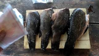 Как быстро и вкусно приготовить копченую рыбу. Линь горячего копчения