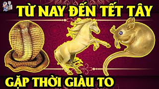 GIỚI TIÊN TRI CHẤN ĐỘNG, 3 CON GIÁP ĐANG KHỔ VÌ DỊCH, BẤT NGỜ GẶP THỜI GIÀU TO, TỪ NAY ĐẾN TẾT TÂY