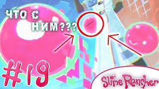 НОВОЕ ОБНОВЛЕНИЕ В СЛАЙМ РАНЧЕР! СЛАЙМ ГЛЮКИ! НОВЫЕ ТЕХНОЛОГИИ! - Slime Rancher #19