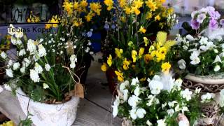 Impressionen mitte April 2015 (Aussenverkauf)