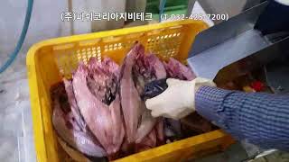 FK2070 우럭 할복기(Rockfish Belly Open Machine) FISH KOREA