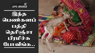 இந்தப் பெண்களப் பத்தி தெரிஞ்சா பிரமிச்சுப் போவீங்க..! | Breastfeeding to animals | SPS MEDIA