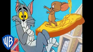 Tom et Jerry en Français | Une souris dans la ville