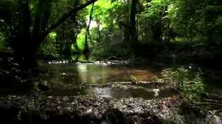 Protecting Deltas: Heritage Helps! film trailer ICOMOS September 2014