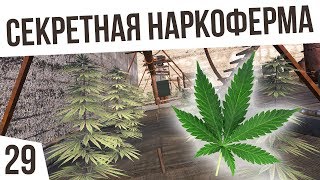 СЕКРЕТНАЯ НАРКОФЕРМА! | #29 Kenshi "Третья Империя"