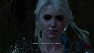 The Witcher 3: Wild Hunt # 29 История Цири: Король Волков