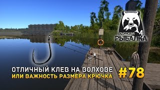 Русская рыбалка 4 #78 - Отличный клев на Волхове. Или важность размера крючка