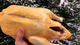 Рождественский гусь☝️?и все отдохнут пусть?Нежнейшее мясо