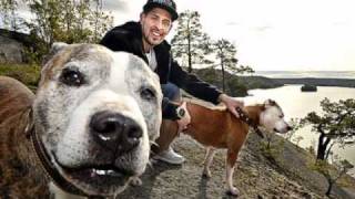 The Latin Kings- Gussen