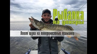 Ловля щуки на поверхностные приманки. Рыбалка на уокеры