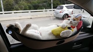 Top 10 Cool Things From AliExpress 2018